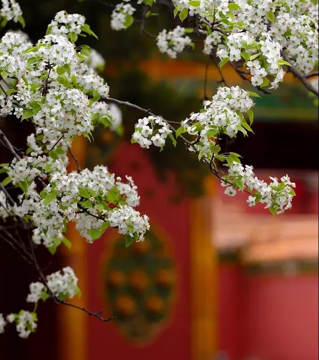 beat·365(中国)唯一官方网站