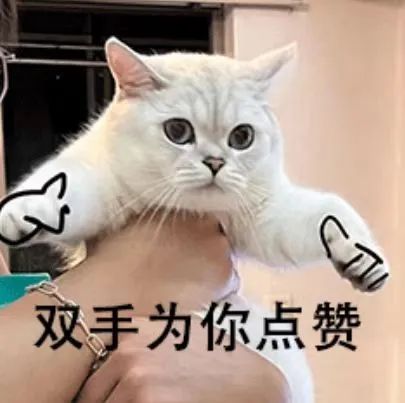 beat·365(中国)唯一官方网站