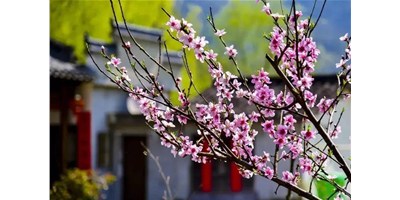 阳春三月，beat365精机一大波展会即将来袭，您筹备好了吗？